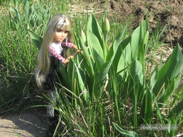 Открываем дачный сезон