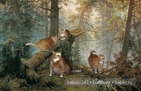 А это интересно!Василий Владимирович Воротников и его Коты (фото 2)