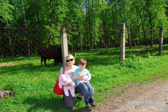 подруга с сыном и Софьей