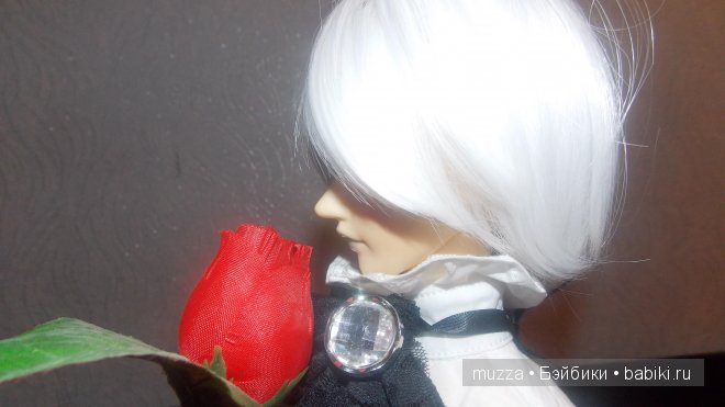 Мой Принц от фирмы DollLove