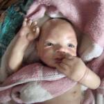 Малышка Агата. Мое новое творение - кукла из ливинг долла своими руками