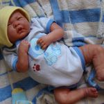 Филипок. Мой переделанный малыш беренжер.