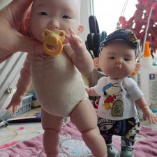 Два пупса. Такие разные