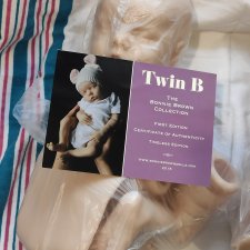 Твин А и твин В от Bonnie Brown