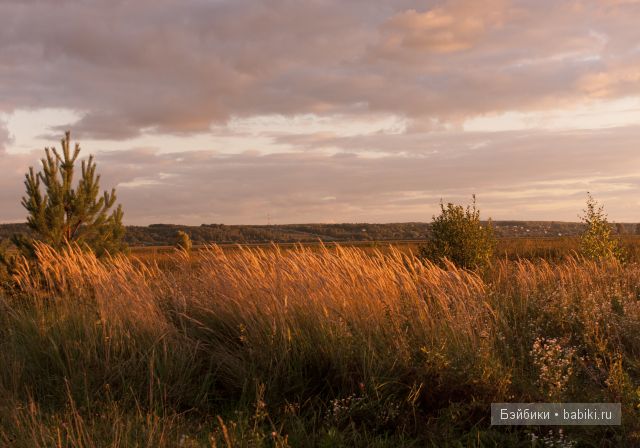 День подходил к концу