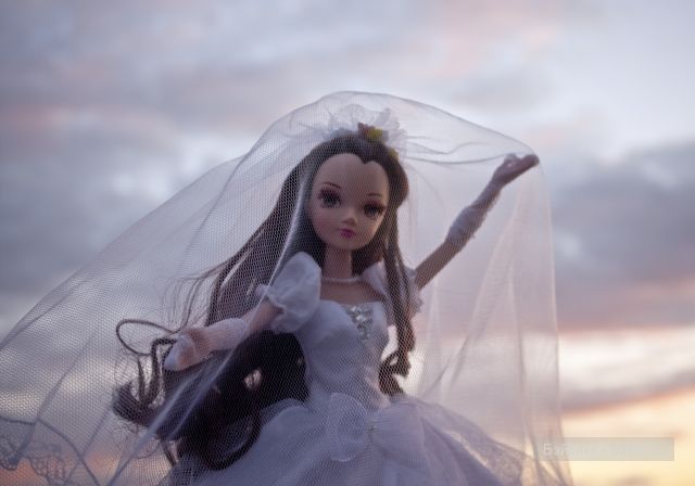 Красавица невеста. Кукла Sonya