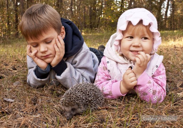 Приятная встреча в осеннем лесу