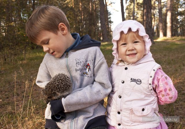 Приятная встреча в осеннем лесу