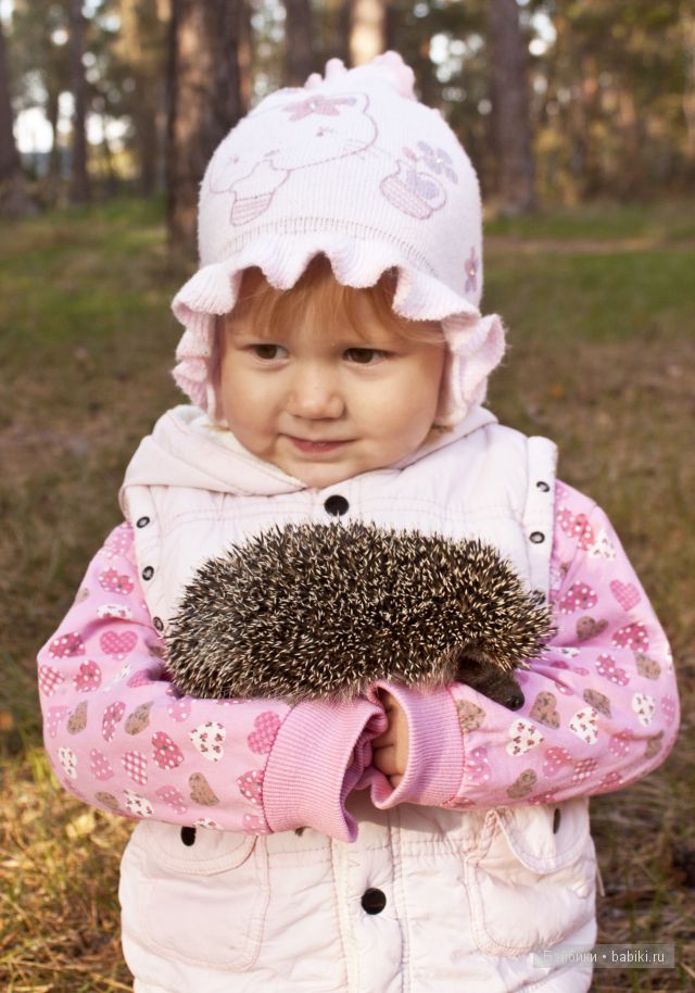 Приятная встреча в осеннем лесу