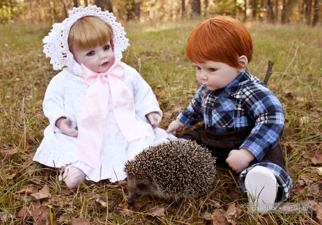 Приятная встреча в осеннем лесу