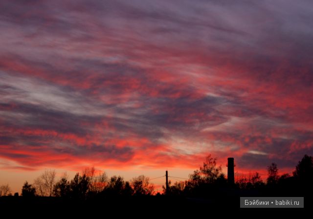 Приятная встреча в осеннем лесу