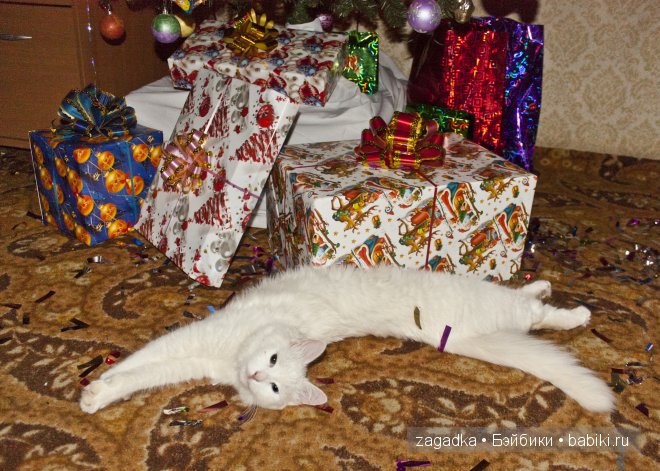 Как у нас появилась новая куколка Анабель (фото 2)