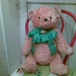 Мишки в чемодане