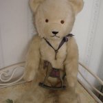 Очаровательный медвежонок.