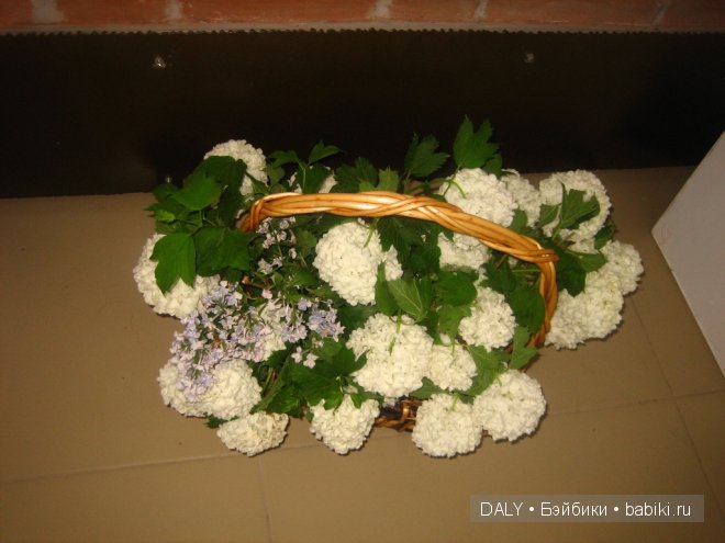 "Летний Сад" выставка кукол в Ярославле 2014. Просто - САРА, моя вторая кукла | Бэйбики "Летний Сад" выставка кукол в Ярославле 2014. Просто - САРА, моя вторая кукла