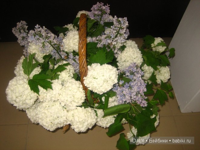 Летний Сад выставка кукол в Ярославле 2014