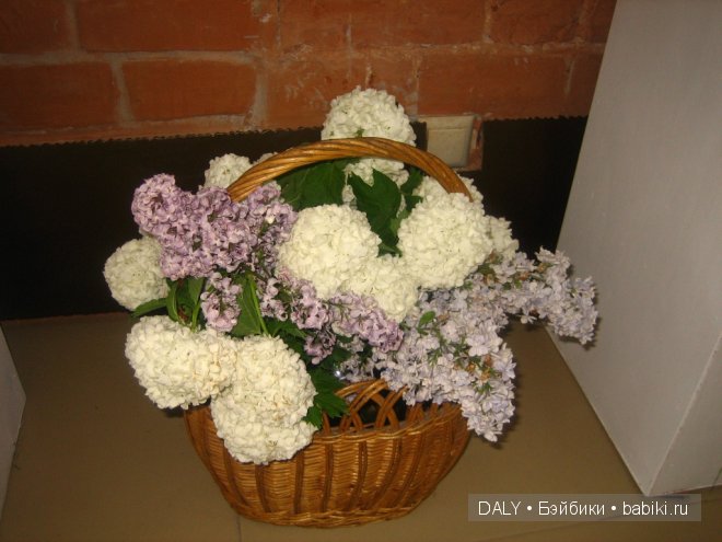 "Летний Сад" выставка кукол в Ярославле 2014. Просто - САРА, моя вторая кукла | Бэйбики "Летний Сад" выставка кукол в Ярославле 2014. Просто - САРА, моя вторая кукла