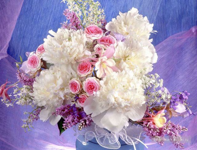 Вот какой чудесный паричок у нас появился