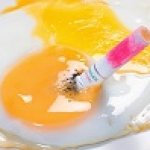 Бестактность наших дней, Когда ты выйдешь замуж? Зачем тебе куклы и т.д.