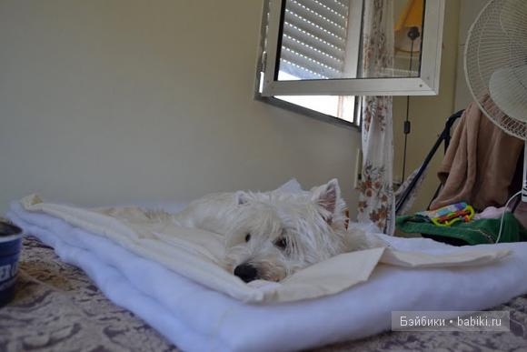 процесс работы