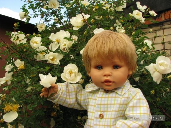 Паола Рейна Арсений