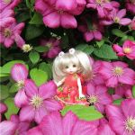 Дюймовочка. Мэгги в саду.