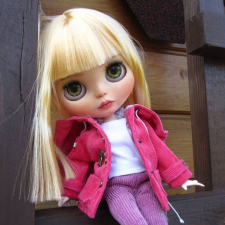 Продам из личной коллекции куклу Блайз blythe . Продам из личной коллекции куклу Блайз blythe .