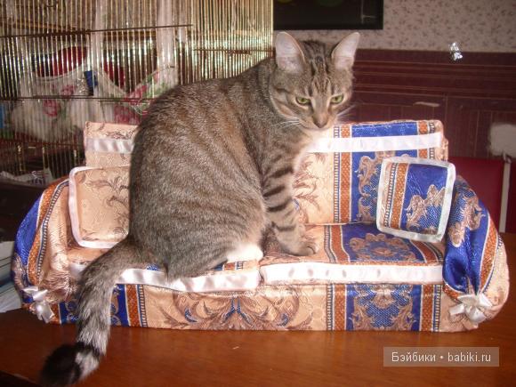 Когда у меня поселилась моя смуглая красавица стало понятно, что спать ей негде. Диван для куклы своими руками