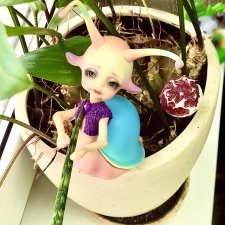 В поисках зелени