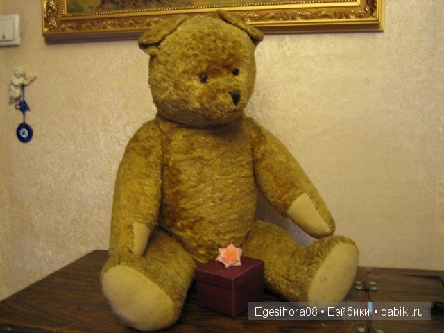 Моя коллекция мишек — Домашние фото авторских игрушек: Тедди