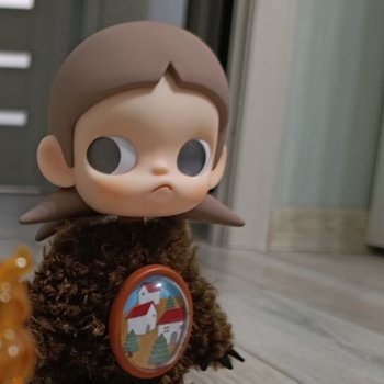 Как в моей жизни появилась Малышка Zsiga или а нужна ли мне она вообще?