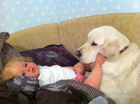 Куклы и животные, присоединяйтесь!
