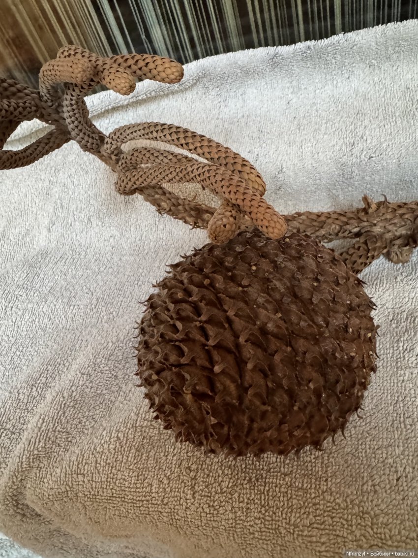 А это как раз шишка.