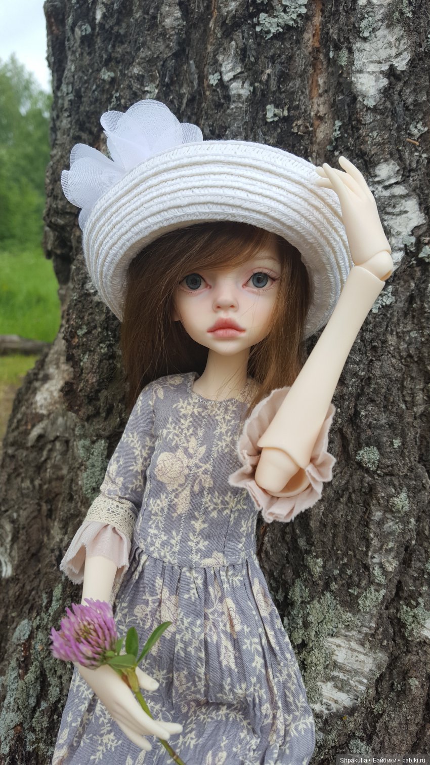 Моя Ларинка — Куклы DIM (Doll in Mind): корейские BJD (БЖД) (фото 2)