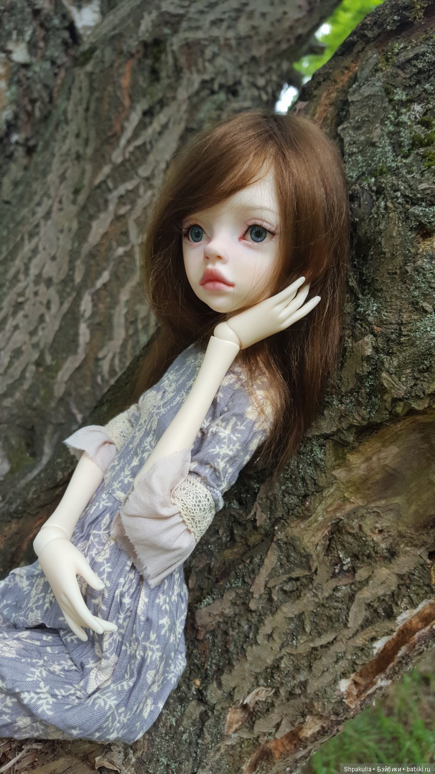 Моя Ларинка — Куклы DIM (Doll in Mind): корейские BJD (БЖД) (фото 4)