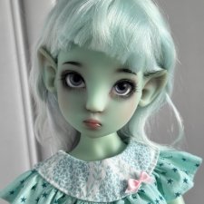 Голубая Конеко MSD