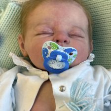 Миша с аукциона