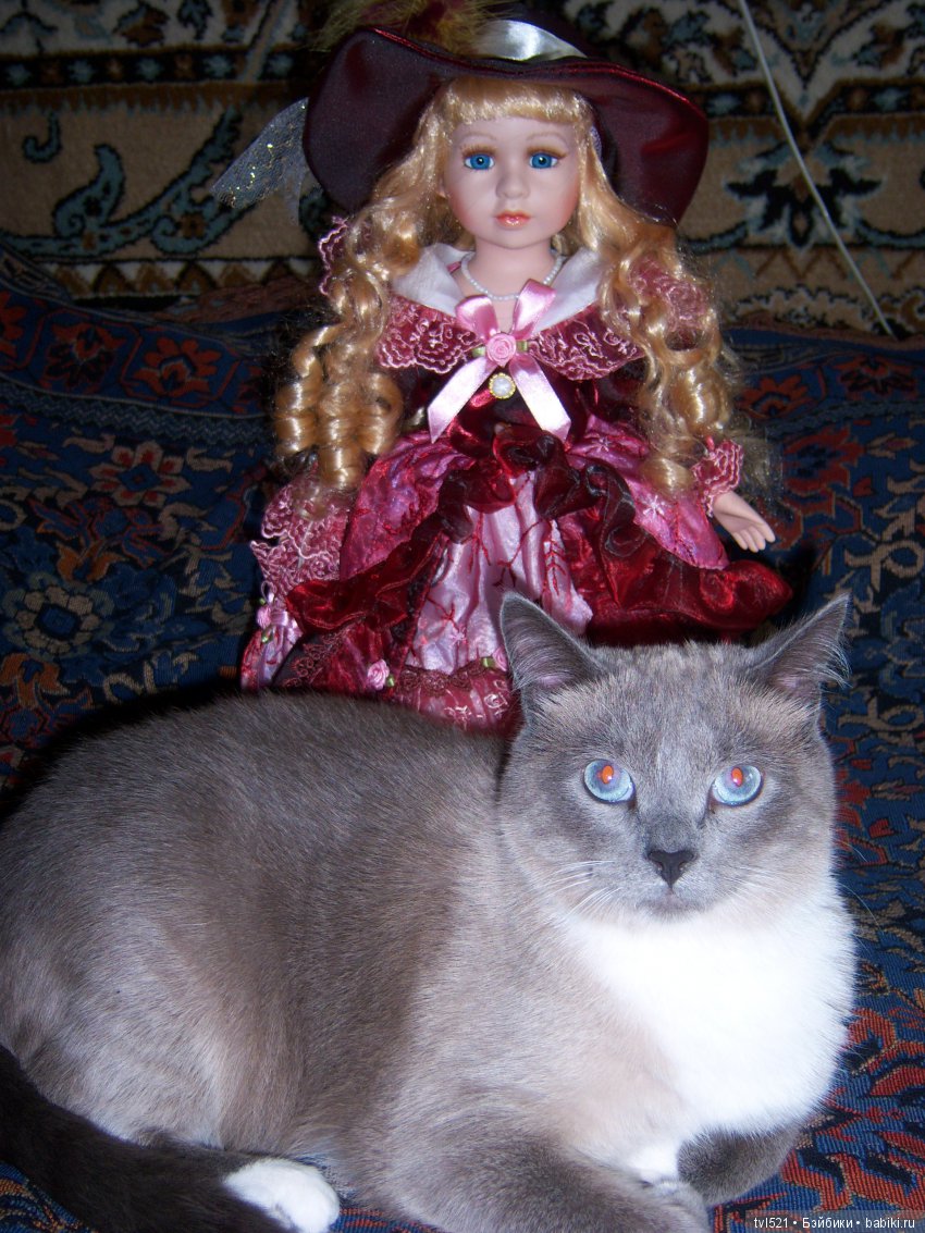 мы примем участие...