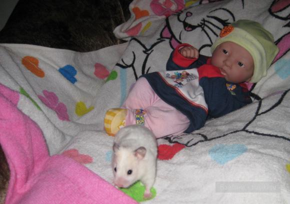Нам 4 месяца — Куклы Реборн (Reborn): домашние фото