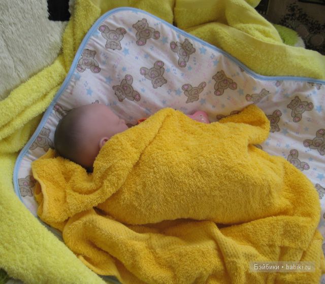 Один день из Жизни Ренесми