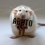 Будьте внимательны при покупке кукол на АВИТО!!