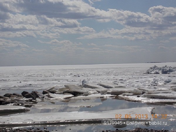 Финский залив