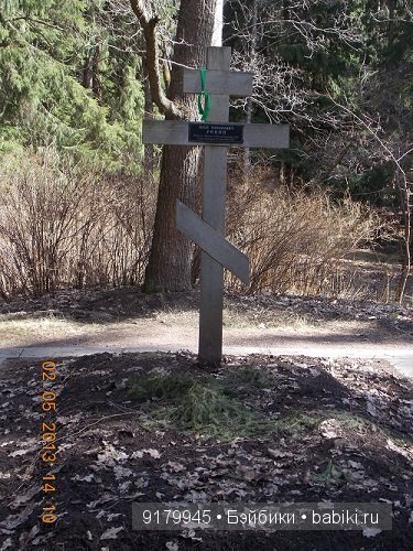 Пенаты или песня Сольвейг над льдами Финского залива. Репино, Куоккала (фото 8)