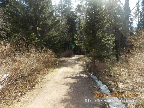 Пенаты или песня Сольвейг над льдами Финского залива. Репино, Куоккала (фото 3)