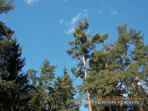 Финский залив