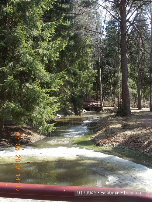 Пенаты или песня Сольвейг над льдами Финского залива. Репино, Куоккала (фото 5)