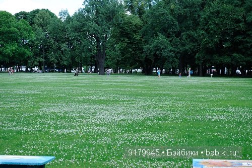 Михайловский сад