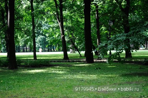 Михайловский сад