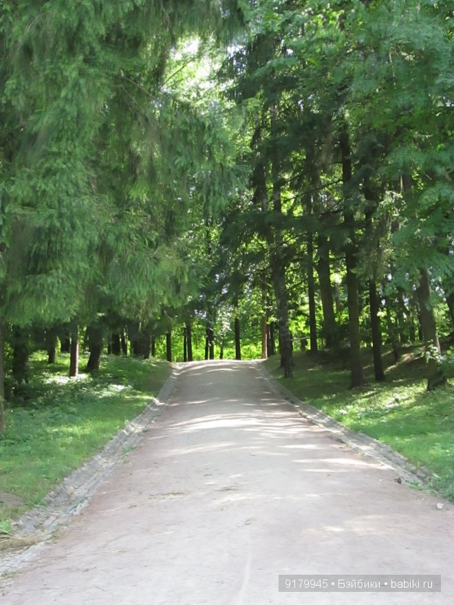 С природою искусство сочетав, прекрасны вы, задумчивые парки. К.М. Фофанов (фото 3)