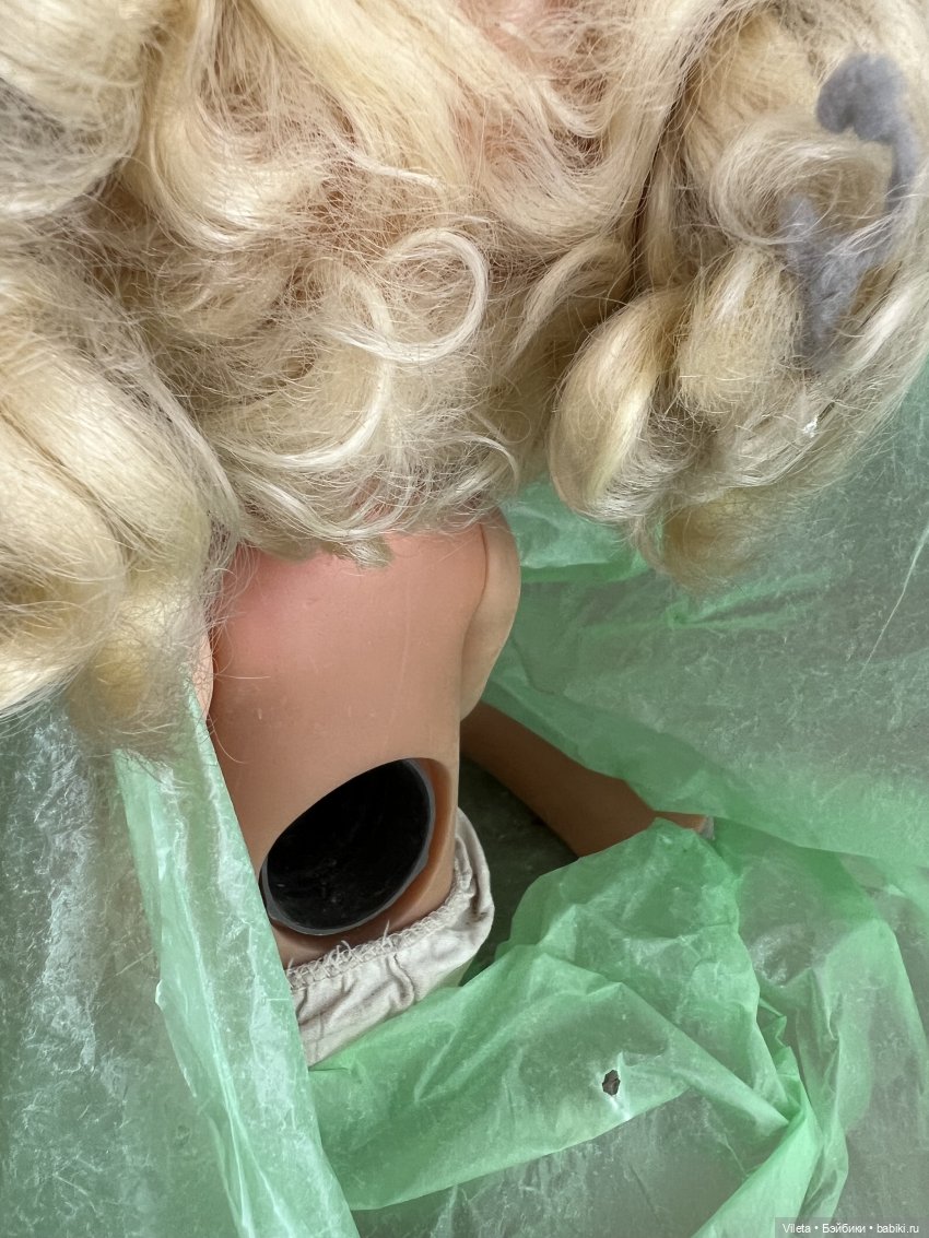 Помогите опознать найденыша (фото 2)